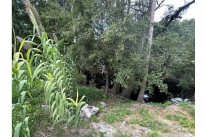 Lot 16 RIVERRUN ROAD, NEW PORT RICHEY, FL 34655 - MLS#MFRW7878919