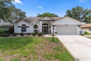 2345 Terrace View Ln, SPRING HILL
