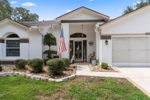 2345 TERRACE VIEW LANE, SPRING HILL, FL 34606 - MLS#MFRW7878930