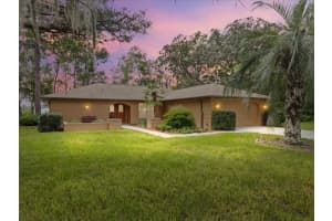 12280 Genter Dr, SPRING HILL