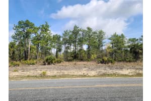 12121 THRASHER AVENUE, WEEKI WACHEE, FL 34614 - MLS#MFRW7878933