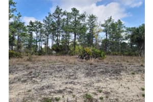 12121 THRASHER AVENUE, WEEKI WACHEE, FL 34614 - MLS#MFRW7878933