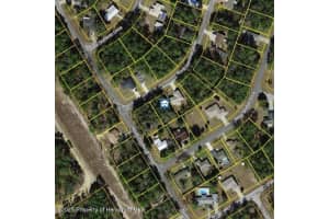 9996 SANDREE DRIVE, CITRUS SPRINGS, FL 34434 - MLS#MFRW7878971