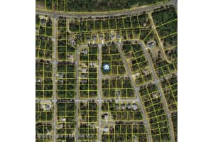 647 TULIP LANE, DUNNELLON, FL 34434 - MLS#MFRW7878972