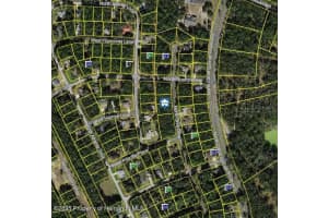 10768 ORVA DRIVE, CITRUS SPRINGS, FL 34434 - MLS#MFRW7878973