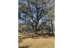 5634 CLASSIC LANE, HOMOSASSA, FL 34446 - MLS#MFRW7878981