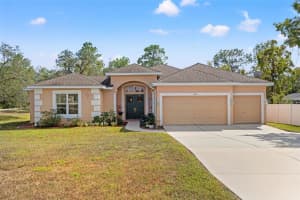 11362 FOOL DUCK AVENUE, WEEKI WACHEE, FL 34613 - MLS#MFRW7878984