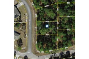 8753 RAIDIN DRIVE, CITRUS SPRINGS, FL 34433 Sold 10/03/25