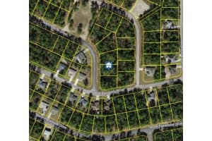 8753 RAIDIN DRIVE, CITRUS SPRINGS, FL 34433 Sold 10/03/25