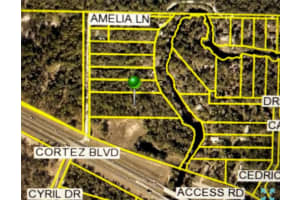 AMELIA LN, DADE CITY, FL 33523 - MLS#MFRW7878996