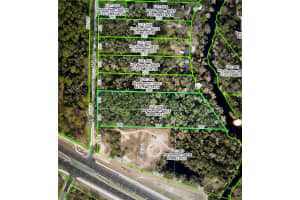 AMELIA LN, DADE CITY, FL 33523 - MLS#MFRW7878996