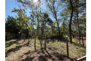 9006 MICHIGAN AVENUE, WEEKI WACHEE, FL 34613 - MLS#MFRW7878999