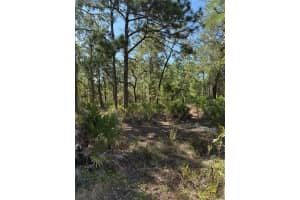 9006 MICHIGAN AVENUE, WEEKI WACHEE, FL 34613 - MLS#MFRW7878999