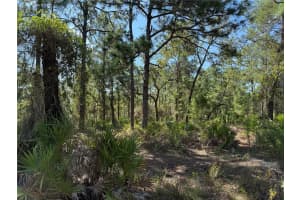 9006 MICHIGAN AVENUE, WEEKI WACHEE, FL 34613 - MLS#MFRW7878999