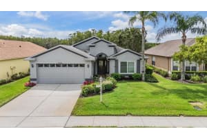 11946 YELLOW FINCH LANE, TRINITY, FL 34655 - MLS#MFRW7879018