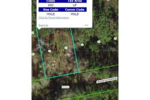 13027 DUCHESS AVENUE, NEW PORT RICHEY, FL 34654 - MLS#MFRW7879022