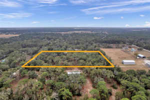 DEASON DR, SPRING HILL, FL 34610 - MLS#MFRW7879040