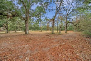 DEASON DR, SPRING HILL, FL 34610 - MLS#MFRW7879040