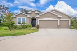 14069 Wineberry Dr, DADE CITY
