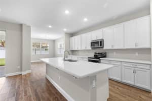 11933 CINNAMON FERN DRIVE, RIVERVIEW, FL 33579 - MLS#MFRW7879073