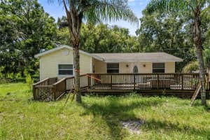 20105 Green Grass Ln, LUTZ
