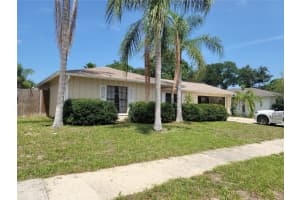 11127 PEPPERTREE LANE, PORT RICHEY, FL 34668 - MLS#MFRW7879112