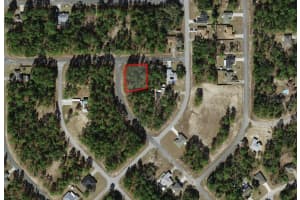 3662 GALTONIA LANE, CITRUS SPRINGS, FL 34433 - MLS#MFRW7879158