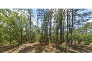 3662 GALTONIA LANE, CITRUS SPRINGS, FL 34433 - MLS#MFRW7879158