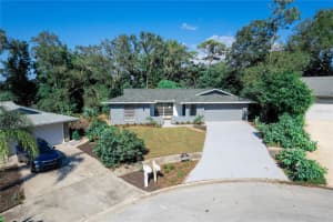 1395 BURNT OAK STREET, TARPON SPRINGS, FL 34689 - MLS#MFRW7879161