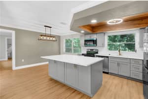 1395 BURNT OAK STREET, TARPON SPRINGS, FL 34689 - MLS#MFRW7879161