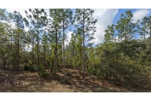 11464 CHICKADEE ROAD, WEEKI WACHEE, FL 34614 - MLS#MFRW7879163