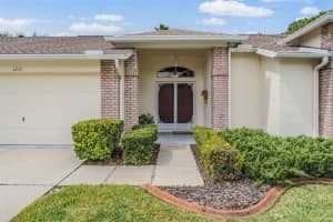 1231 FLORA VISTA STREET, TRINITY, FL 34655 - MLS#MFRW7879182