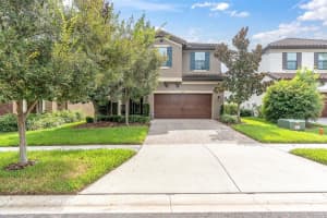 13117 PAYTON STREET, ODESSA, FL 33556 - MLS#MFRW7879192