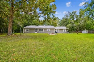 9741 STAR TRAIL, NEW PORT RICHEY, FL 34654 - MLS#MFRW7879215