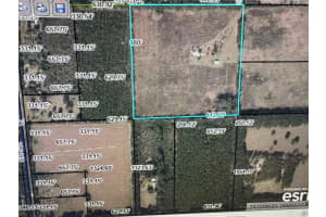 5559 42ND PLACE, BELL, FL 32619 - MLS#MFRW7879221