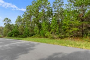 4099 MALALUKA CIRCLE, CITRUS SPRINGS, FL 34433 Sold 02/24/26