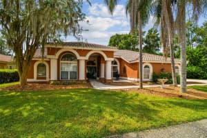 1384 FORESTEDGE BOULEVARD, OLDSMAR, FL 34677 - MLS#MFRW7879236