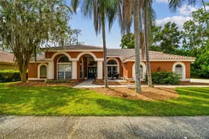 1384 FORESTEDGE BOULEVARD, OLDSMAR, FL 34677 - MLS#MFRW7879236