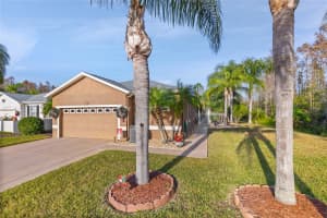 8432 TAROCCO COURT, LAND O LAKES, FL 34637 - MLS#MFRW7879238