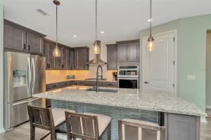 19494 SEA GLASS CIRCLE, LAND O LAKES, FL 34638 - MLS#MFRW7879262
