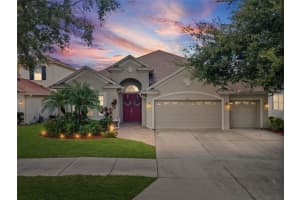 3041 STONEGATE FALLS DRIVE, LAND O LAKES, FL 34638 - MLS#MFRW7879294