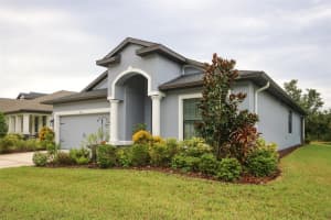 11392 WEAVER HOLLOW ROAD, NEW PORT RICHEY, FL 34654 - MLS#MFRW7879314