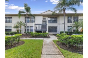 3358 MERMOOR DRIVE, PALM HARBOR, FL 34685 - MLS#MFRW7879330