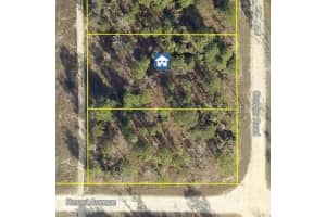 14167 CONDOR ROAD, BROOKSVILLE, FL 34614 - MLS#MFRW7879372