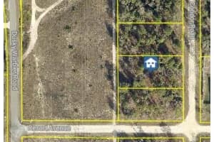 14167 CONDOR ROAD, BROOKSVILLE, FL 34614 - MLS#MFRW7879372