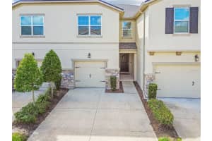 5826 Grand Sonata Ave, LUTZ 5826 Grand Sonata Ave, LUTZ