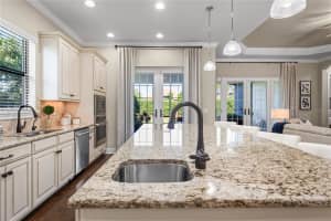 11465 BITOLA DRIVE, ODESSA, FL 33556 Sold 11/20/25