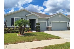 13483 GOLDEN LIME AVENUE, SPRING HILL, FL 34609 - MLS#MFRW7879416