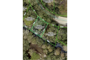 3217 TIGER STREET, DADE CITY, FL 33523 - MLS#MFRW7879461