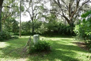 397 JENKINS AVENUE, BROOKSVILLE, FL 34604 - MLS#MFRW7879471